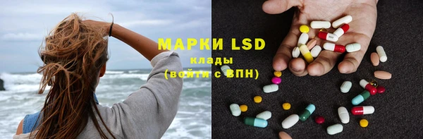 ГАЛЛЮЦИНОГЕННЫЕ ГРИБЫ Абаза